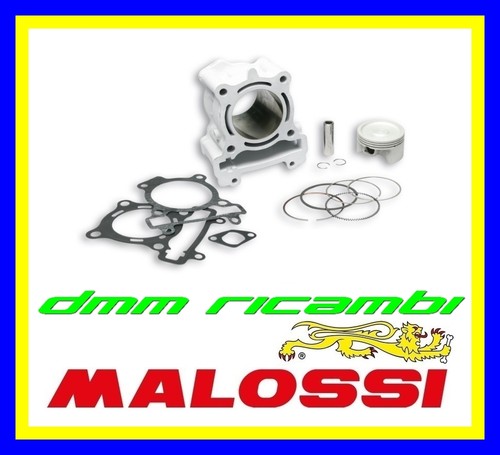 Kit gruppo termico malossi - gruppo,